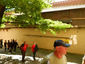 DSCN2074